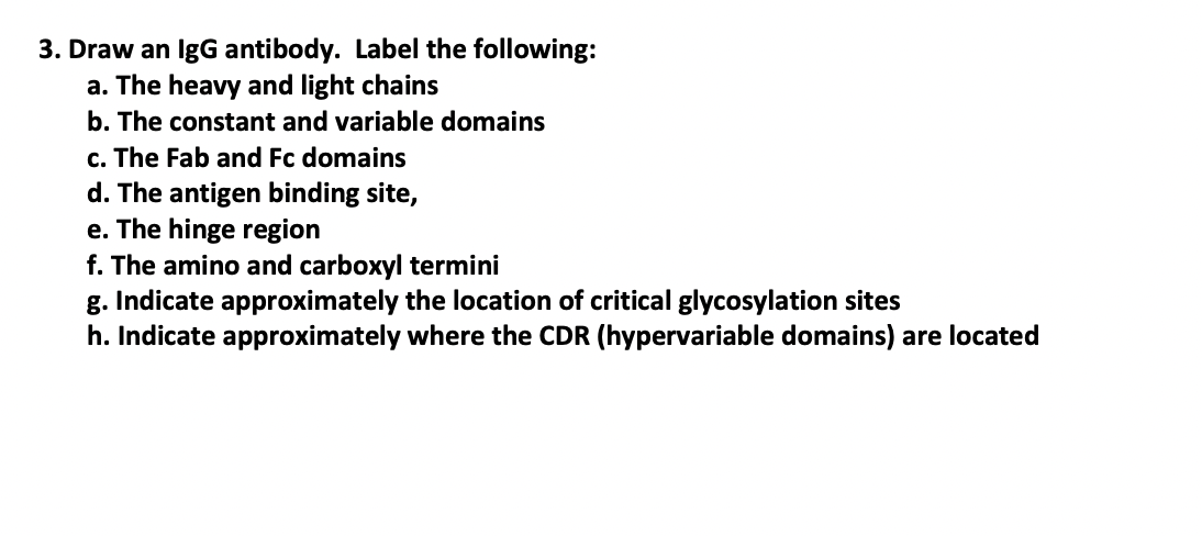 3. Draw an IgG antibody. Label the following:
a. The heavy and light chains
b. The constant and variable domains
c. The Fab and Fc domains
d. The antigen binding site,
e. The hinge region
f. The amino and carboxyl termini
g. Indicate approximately the location of critical glycosylation sites
h. Indicate approximately where the CDR (hypervariable domains) are located