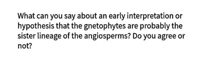 What can you say about an early interpretation or
hypothesis that the gnetophytes are probably the
sister lineage of the angiosperms? Do you agree or
not?

