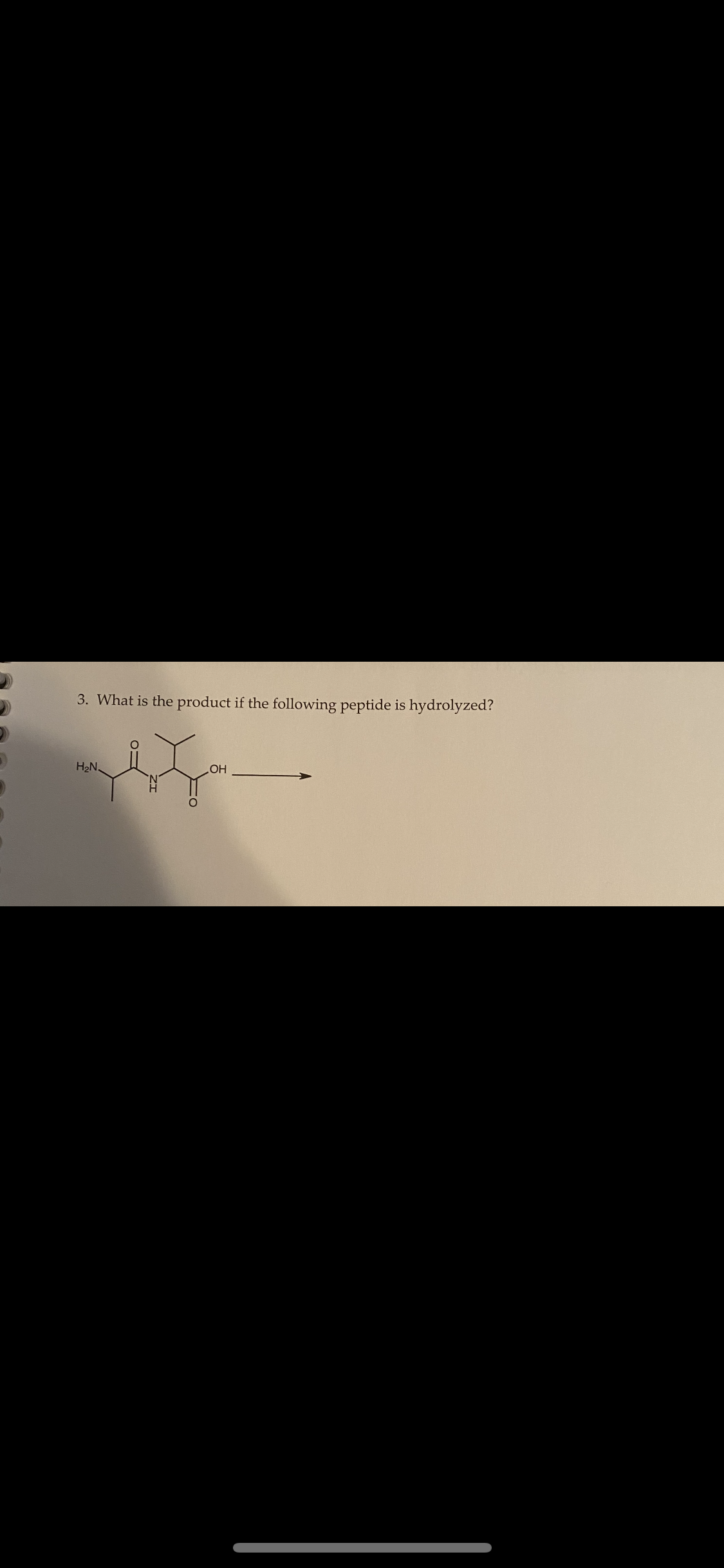 3. What is the product if the following peptide is hydrolyzed?
H₂N
O
OH