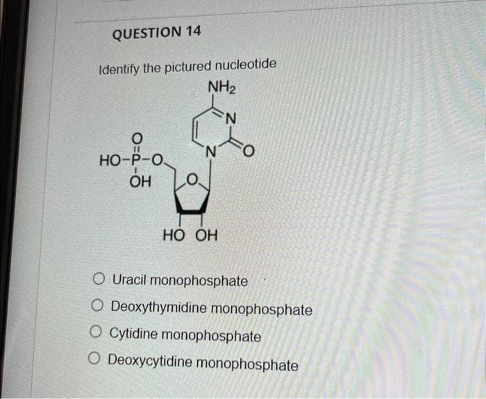 QUESTION 14
Identify the pictured nucleotide
NH₂
N
O
11
HO-P-O
OH
HO OH
O Uracil monophosphate
O Deoxythymidine monophosphate
O Cytidine monophosphate
O Deoxycytidine monophosphate