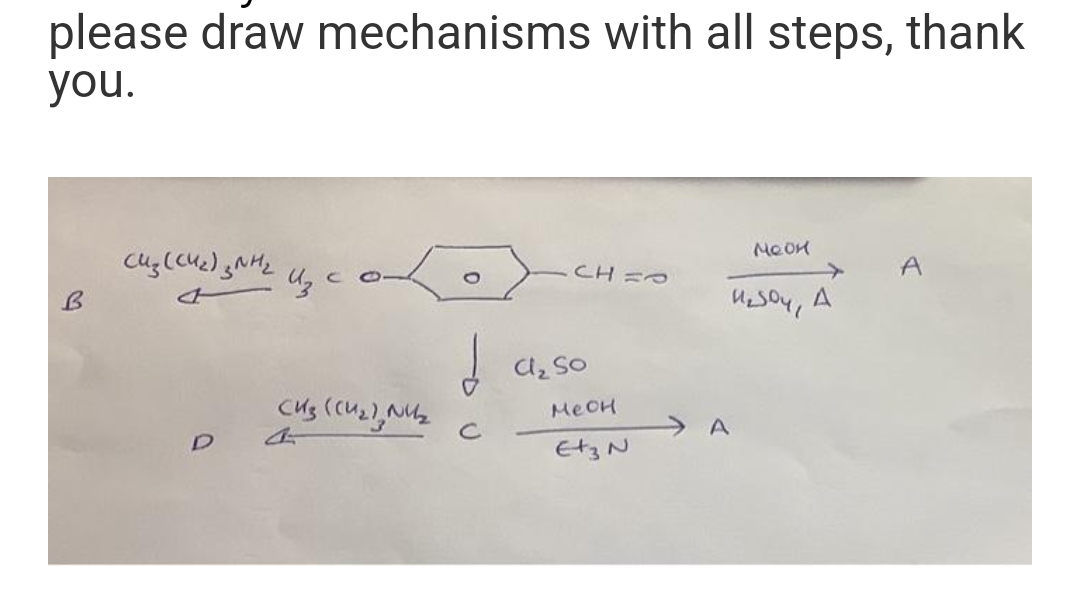 please draw mechanisms with all steps, thank
you.
B
сиз (сиг) занг
4
D
C
CH3 ((U₂), NV₂
d
с
CHVO
Cl₂ So
MeOH
E+3 N
Meok
₂soy, A
A