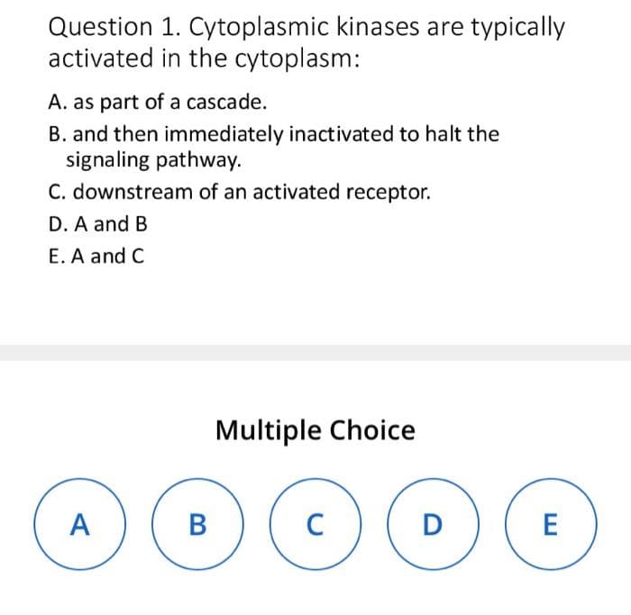 Question 1. Cytoplasmic kinases are typically
activated in the cytoplasm:
A. as part of a cascade.
B. and then immediately inactivated to halt the
signaling pathway.
C. downstream of an activated receptor.
D. A and B
E. A and C
A
B
Multiple Choice
C
D
E