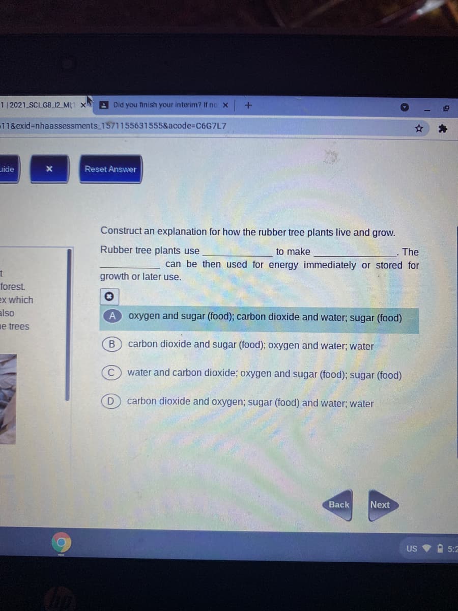 1 | 2021 SCLG8_12 MI;1 x
A Did you finish your interim? If no x +
11&exid%3Dnhaassessments 1571155631555&acode%3DC6G7L7
uide
Reset Answer
Construct an explanation for how the rubber tree plants live and grow.
Rubber tree plants use
to make
The
can be then used for energy immediately or stored for
growth or later use.
forest.
ex which
also
oxygen and sugar (food); carbon dioxide and water; sugar (food)
ne trees
carbon dioxide and sugar (food); oxygen and water; water
C
water and carbon dioxide; oxygen and sugar (food); sugar (food)
carbon dioxide and oxygen; sugar (food) and water; water
Back
Next
US
A 5:2
