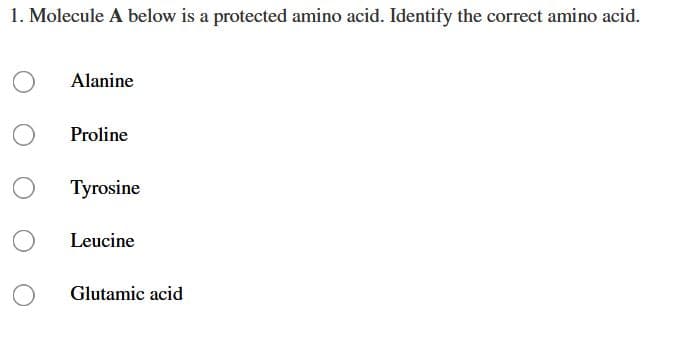 1. Molecule A below is a protected amino acid. Identify the correct amino acid.
Alanine
Proline
Tyrosine
Leucine
Glutamic acid
