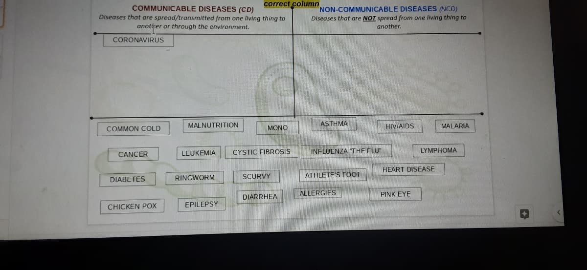 correct column
COMMUNICABLE DISEASES (CD)
Diseases that are spread/transmitted from one living thing to
anotirer or through the environment.
NON-COMMUNICABLE DISEASES (NCD)
Diseases that are NOT spread from one living thing to
another.
CORONAVIRUS
MALNUTRITION
ASTHMA
HIVIAIDS
MALARIA
COMMON COLD
MONO
CANCER
LEUKEMIA
CYSTIC FIBROSIS
INFLUENZA "THE FLU"
LYMPHOMA
HEART DISEASE
RINGWORM
SCURVY
ATHLETE'S FOOT
DIABETES
ALLERGIES
PINK EYE
DIARRHEA
CHICKEN POX
EPILEPSY
