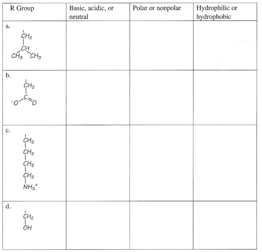 R Group
Polar or nonpolar
Hydrophilic or
hydrophobic
Basic, acidic, or
neutral
a.
CH2
„CH
CH3 CH3
b.
c.
CH2
CH2
CH2
CH2
NH3*
d.
CH2
OH
