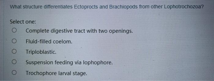 What structure differentiates Ectoprocts and Brachiopods from other Lophotrochozoa?
Select one:
O Complete digestive tract with two openings.
Fluid-filled coelom.
Triploblastic.
Suspension feeding via lophophore.
Trochophore larval stage.
O