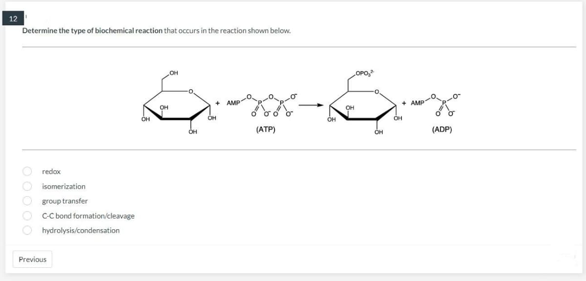 12
Determine the type of biochemical reaction that occurs in the reaction shown below.
O O O O O
redox
isomerization
group
C-C bond formation/cleavage
transfer
hydrolysis/condensation
Previous
Ex-xx-xx
OH
(ATP)
OH
OH
OH
OH
+ AMP
OH
OPO₂²
OH
OH
+AMP1
OH
(ADP)