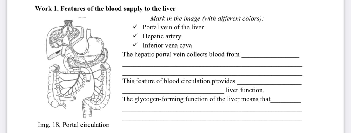 Work 1. Features of the blood supply to the liver
Mark in the image (with different colors):
Portal vein of the liver
Нерatic artery
V Inferior vena cava
The hepatic portal vein collects blood from
This feature of blood circulation provides
liver function.
The glycogen-forming function of the liver means that
Img. 18. Portal circulation
