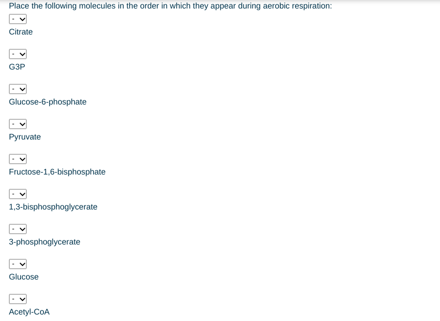 Place the following molecules in the order in which they appear during aerobic respiration:
Citrate
G3P
Glucose-6-phosphate
Pyruvate
Fructose-1,6-bisphosphate
1,3-bisphosphoglycerate
3-phosphoglycerate
Glucose
Acetyl-CoA
