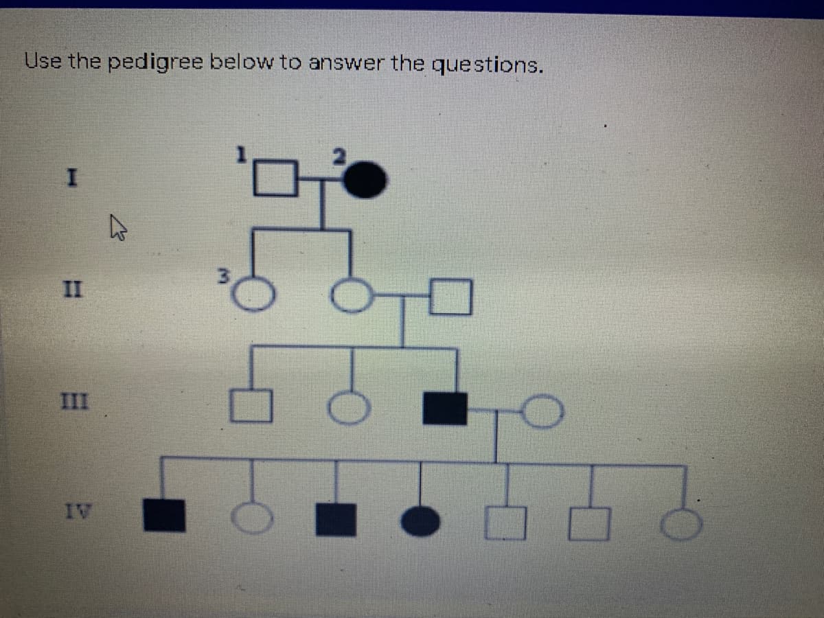 Use the pedigree below to answer the questions.
II
III
