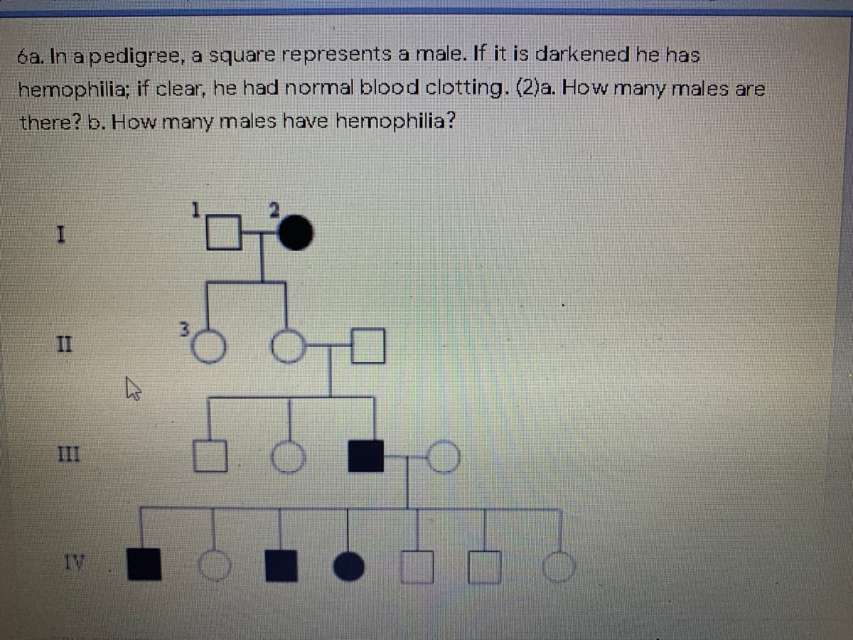óa. In a pedigree, a square represents a male. If it is darkened he has
hemophilia; if clear, he had normal blood clotting. (2)a. How many males are
there? b. How many males have hemophilia?
II
III
IV
