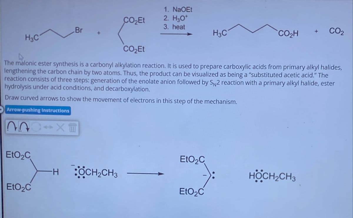 1. NaOEt
CO₂Et
2. H3O+
3. heat
Br
H3C
CO₂H
CO2
H3C
CO₂Et
The malonic ester synthesis is a carbonyl alkylation reaction. It is used to prepare carboxylic acids from primary alkyl halides,
lengthening the carbon chain by two atoms. Thus, the product can be visualized as being a "substituted acetic acid." The
reaction consists of three steps: generation of the enolate anion followed by SN2 reaction with a primary alkyl halide, ester
hydrolysis under acid conditions, and decarboxylation.
Draw curved arrows to show the movement of electrons in this step of the mechanism.
Arrow-pushing Instructions
22
CX
EtO₂C
EtO₂C
HOCH2CH3
HOCH2CH3
EtO₂C
EtO₂C