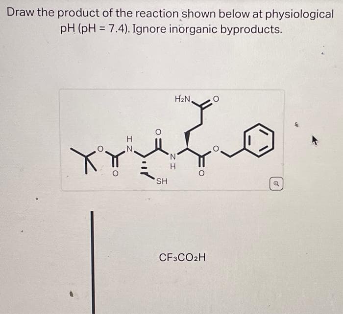 Draw the product of the reaction shown below at physiological
pH (pH = 7.4). Ignore inorganic byproducts.
XY
IZ
N
O
SH
ZI
H₂N,
N
CF3CO2H
CO
of
