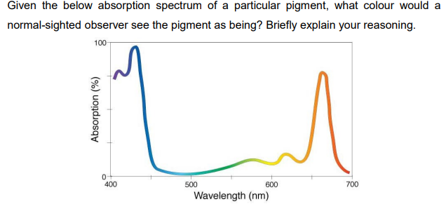 Given the below absorption spectrum of a particular pigment, what colour would a
normal-sighted observer see the pigment as being? Briefly explain your reasoning.
100-
1
500
700
Absorption (%)
0
400
600
Wavelength (nm)