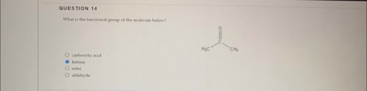 QUESTION 14
What is the functional group of the molecule below?
O carboxylic acid
ketone
O ester
O aldehyde
H₂C
CH₂