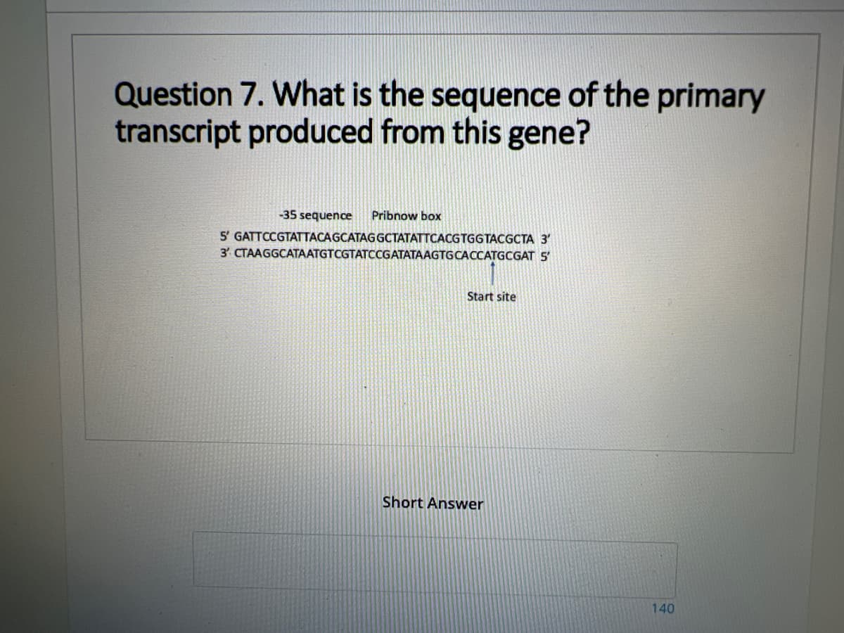 Question 7. What is the sequence of the primary
transcript produced from this gene?
-35 sequence
Pribnow box
5' GATTCCGTATTACAGCATAGGCTATATTCACGTGGTACGCTA 3'
3' CTAAGGCATAATGTCGTATCGATATAAGTGCACCATGCGAT 5'
Start site
Short Answer
140
