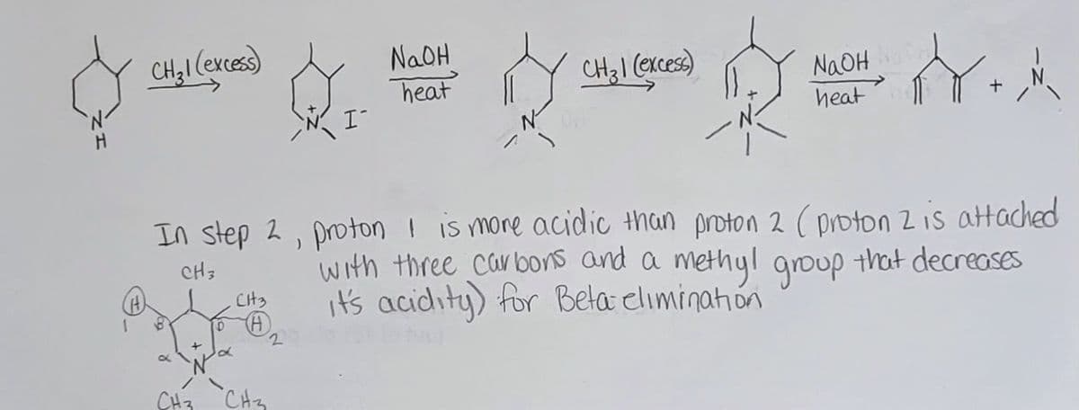 CH₂1 (excess)
8
CH3
CH3
(A)
CH3
I-
In step 2, proton I is more acidic than proton 2 (proton 2 is attached
with three carbons and a methyl group that decreases
it's acidity) for Bela elimination
CH 3
201
2
NaOH
heat
CH₂ 1 (excess)
NaOH
heat
NY.