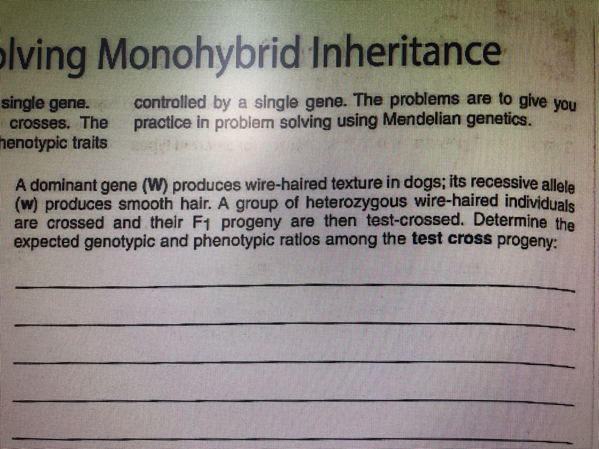 olving Monohybrid Inheritance
single gene.
crosses. The
henotypic traits
controlled by a single gene. The problems are to give you
practice in problem solving using Mendelian genetics.
A dominant gene (W) produces wire-haired texture in dogs; its recessive allele
(w) produces smooth hair. A group of heterozygous wire-haired individuals
are crossed and their F1 progeny are then test-crossed. Determine the
expected genotyplc and phenotypic ratios among the test cross progeny:
