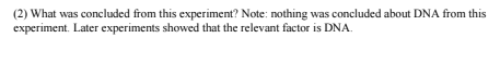 (2) What was concluded from this experiment? Note: nothing was concluded about DNA from this
experiment. Later experiments showed that the relevant factor is DNA.