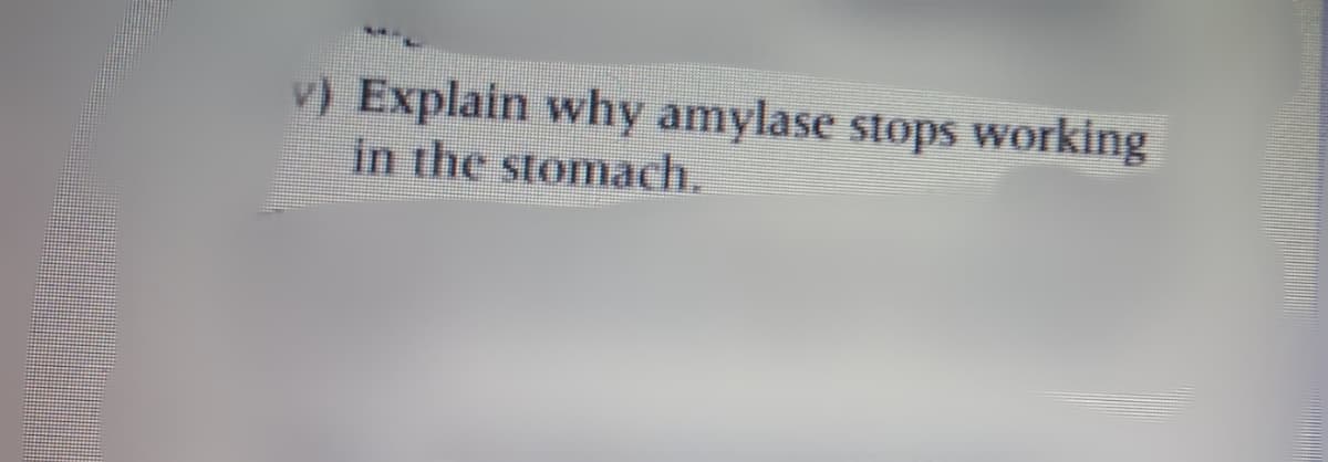v) Explain why amylase stops working
in the stomach.
