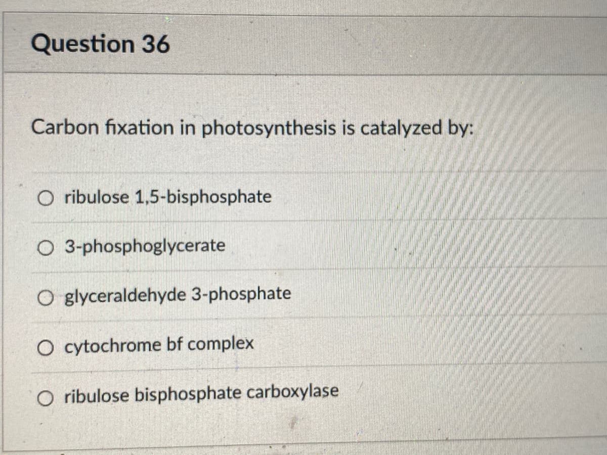 Question 36
Carbon fixation in photosynthesis is catalyzed by:
Oribulose 1,5-bisphosphate
O 3-phosphoglycerate
O glyceraldehyde 3-phosphate
O cytochrome bf complex
O ribulose bisphosphate carboxylase