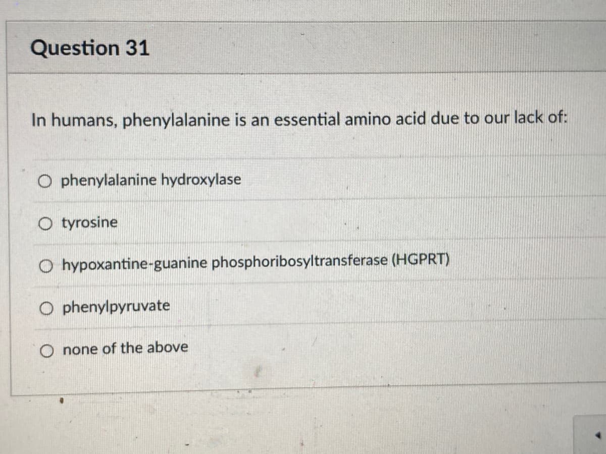 Question 31
In humans, phenylalanine is an essential amino acid due to our lack of:
Ophenylalanine hydroxylase
O tyrosine
O hypoxantine-guanine phosphoribosyltransferase (HGPRT)
O phenylpyruvate
O none of the above