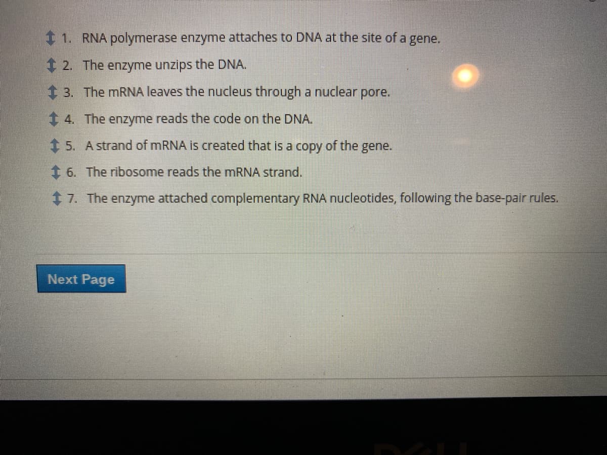 1. RNA polymerase enzyme attaches to DNA at the site of a gene.
T 2. The enzyme unzips the DNA.
3. The MRNA leaves the nucleus through a nuclear pore.
4. The enzyme reads the code on the DNA.
15. A strand of mRNA is created that is a copy of the gene.
6. The ribosome reads the mRNA strand.
47. The enzyme attached complementary RNA nucleotides, following the base-pair rules.
Next Page
