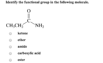 Identify the functional group in the following molecule.
||
CH;CH
`NH2
ketone
ether
amide
carboxylic acid
ester

