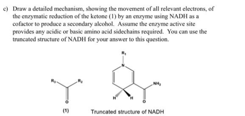 c) Draw a detailed mechanism, showing the movement of all relevant electrons, of
the enzymatic reduction of the ketone (1) by an enzyme using NADH as a
cofactor to produce a secondary alcohol. Assume the enzyme active site
provides any acidic or basic amino acid sidechains required. You can use the
truncated structure of NADH for your answer to this question.
Ry
€
R₂
R₁
NH₂
Truncated structure of NADH