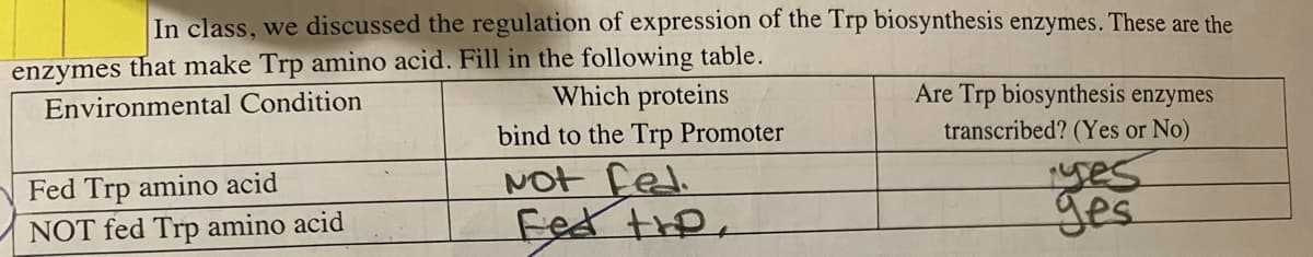 In class, we discussed the regulation of expression of the Trp biosynthesis enzymes. These are the
enzymes that make Trp amino acid. Fill in the following table.
Environmental Condition
Fed Trp amino acid
NOT fed Trp amino acid
Which proteins
bind to the Trp Promoter
Not fed.
Fed the.
Are Trp biosynthesis enzymes
transcribed? (Yes or No)
yes
ges