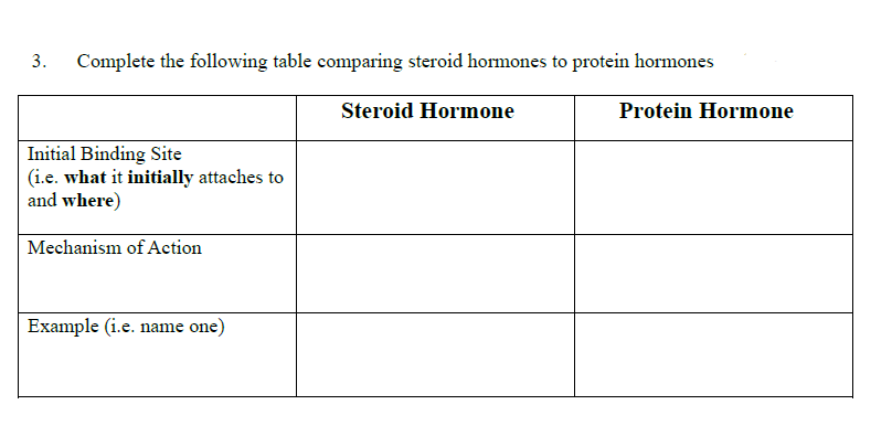 3. Complete the following table comparing steroid hormones to protein hormones
Steroid Hormone
Initial Binding Site
(i.e. what it initially attaches to
and where)
Mechanism of Action
Example (i.e. name one)
Protein Hormone
