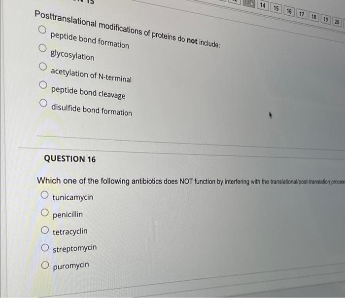 Posttranslational modifications of proteins do not include:
peptide bond formation
glycosylation
acetylation of N-terminal
peptide bond cleavage
disulfide bond formation
QUESTION 16
14 15 16
streptomycin
puromycin
17 18 19 20
Which one of the following antibiotics does NOT function by interfering with the translational/post-translation process
tunicamycin
penicillin
O tetracyclin
O
O