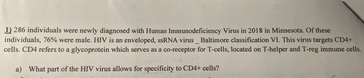 1) 286 individuals were newly diagnosed with Human Immunodeficiency Virus in 2018 in Minnesota. Of these
individuals, 76% were male. HIV is an enveloped, ssRNA virus_ Baltimore classification VI. This virus targets CD4+
cells. CD4 refers to a glycoprotein which serves as a co-receptor for T-cells, located on T-helper and T-reg immune cells.
a) What part of the HIV virus allows for specificity to CD4+ cells?