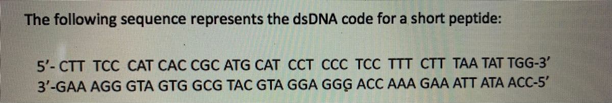 The following sequence represents the dsDNA code fora short peptide:
5'-CTT TCC CAT CÁC CGC ATG CAT CCT CCC TCC TTT CTT TAA TAT TGG-3'
3'-GAA AGG GTA GTG GCG TAC GTA GGA GGG ACC AAA GAA ATT ATA ACC-5"

