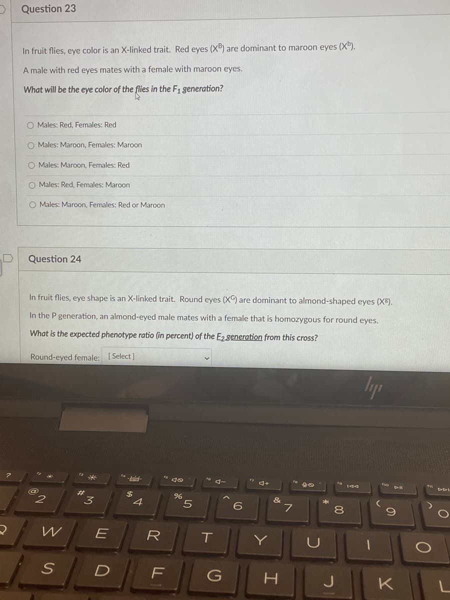 Question 23
In fruit flies, eye color is an X-linked trait. Red eyes (XB) are dominant to maroon eyes (X").
A male with red eyes mates with a female with maroon eyes.
What will be the eye color of the flies in the F1 generation?
O Males: Red, Females: Red
O Males: Maroon, Females: Maroon
O Males: Maroon, Females: Red
O Males: Red, Females: Maroon
O Males: Maroon, Females: Red or Maroon
Question 24
In fruit flies, eye shape is an X-linked trait. Round eyes (XC) are dominant to almond-shaped eyes (X8).
In the P generation, an almond-eyed male mates with a female that is homozygous for round eyes.
What is the expected phenotype ratio (in percent) of the E2 generation from this cross?
Round-eyed female: [Select]
lyp
144
23
3.
$
4
&
5.
6.
8
Y
D
G
K
