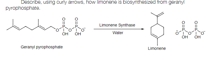 Describe, using curly arrows, how limonene is biosynthesized from geranyl
pyrophosphate.
ham
OH OH
Geranyl pyrophosphate
Limonene Synthase
Water
-$
Limonene
0=d²-5
0=0-5
OH OH