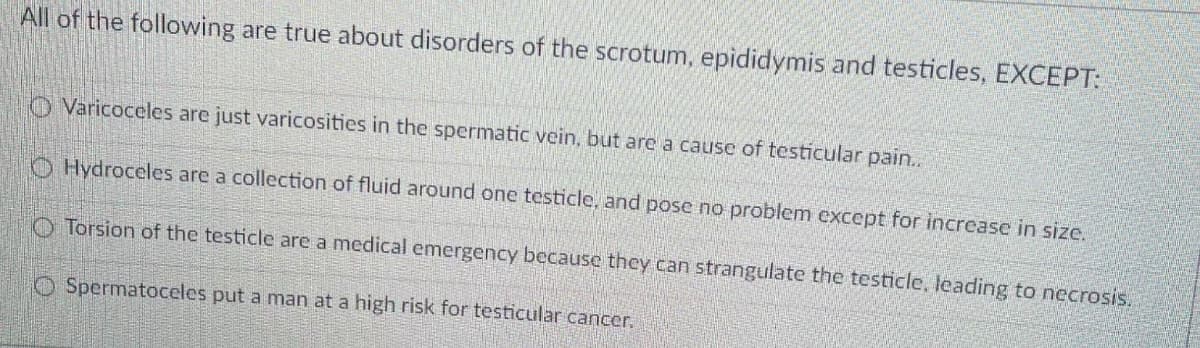 All of the following are true about disorders of the scrotum, epididymis and testicles, EXCEPT:
O Varicoceles are just varicosities in the spermatic vein, but are a cause of testicular pain..
O Hydroceles are a collection of fluid around one testicle, and pose no problem except for increasc in size.
O Torsion of the testicle are a medical emergency because they can strangulate the testicle, leading to necrosis.
O Spermatoceles put a man at a high risk for testicular cancer.
