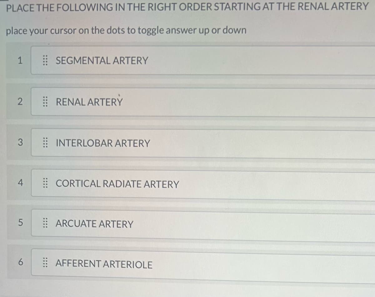 PLACE THE FOLLOWING IN THE RIGHT ORDER STARTING AT THE RENAL ARTERY
place your cursor on the dots to toggle answer up or down
1
2
3
4
5
6
SEGMENTAL ARTERY
RENAL ARTERY
INTERLOBAR ARTERY
CORTICAL RADIATE ARTERY
ARCUATE ARTERY
AFFERENT ARTERIOLE