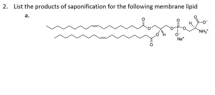 2. List the products of saponification for the following membrane lipid
a.
NH3*
Na+