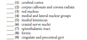 (1) cerebral cortex
(2) corpus callosum and corona radiata
(3) red nucleus
(4) medial and lateral nuclear groups
(5) medial lemniscus
(6) cranial nerve nuclei
(7) spinothalamic tract
(8) fornix
(9) cingulate and precentral gyri
