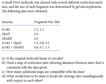 A small DNA molecule was cleaved with several different restriction nucle-
ases, and the size of each fragment was determined by gel electrophoresis.
The following data were obtained.
Enzyme
Fragment Size (kb)
EcoRI
1.3, 1.3
Hpall
2.6
HindlII
2.6
ЕcoRI + Hpall
ECORI + HindlII
1.3, 0.8, 0.5
0.6, 0.7, 1.3
(a) Is the original molecule linear or circular?
(b) Draw a map of restriction sites (showing distances between sites) that is
consistent with the data given.
(c) How many additional maps are compatible with the data?
(d) What would have to be done to locate the cleavage sites unambiguously
with respect to each other?
