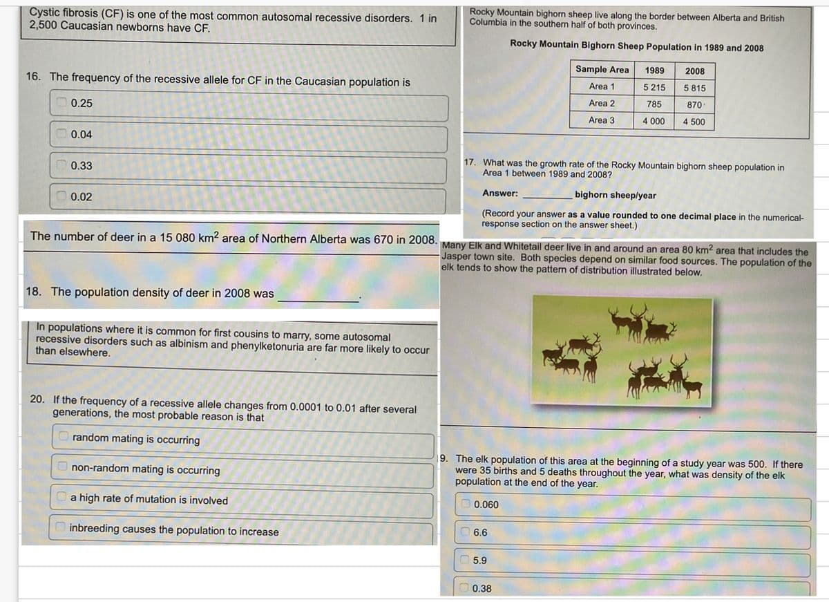 Cystic fibrosis (CF) is one of the most common autosomal recessive disorders. 1 in
2,500 Caucasian newborns have CF.
16. The frequency of the recessive allele for CF in the Caucasian population is
0.25
0.04
0.33
0.02
The number of deer in a 15 080 km2 area of Northern Alberta was 670 in 2008.
18. The population density of deer in 2008 was
In populations where it is common for first cousins to marry, some autosomal
recessive disorders such as albinism and phenylketonuria are far more likely to occur
than elsewhere.
20. If the frequency of a recessive allele changes from 0.0001 to 0.01 after several
generations, the most probable reason is that
random mating is occurring
non-random mating is occurring
a high rate of mutation is involved
inbreeding causes the population to increase
Rocky Mountain bighorn sheep live along the border between Alberta and British
Columbia in the southern half of both provinces.
Rocky Mountain Bighorn Sheep Population in 1989 and 2008
Sample Area
Area 1
Area 2
Area 3
17. What was the growth rate of the Rocky Mountain bighorn sheep population in
Area 1 between 1989 and 2008?
1989
5 215
785
4 000
Answer:
bighorn sheep/year
(Record your answer as a value rounded to one decimal place in the numerical-
response section on the answer sheet.)
6.6
2008
5 815
870-
4 500
Many Elk and Whitetail deer live in and around an area 80 km² area that includes the
Jasper town site. Both species depend on similar food sources. The population of the
elk tends to show the pattern of distribution illustrated below.
5.9
19. The elk population of this area at the beginning of a study year was 500. If there
were 35 births and 5 deaths throughout the year, what was density of the elk
population at the end of the year.
0.060
0.38