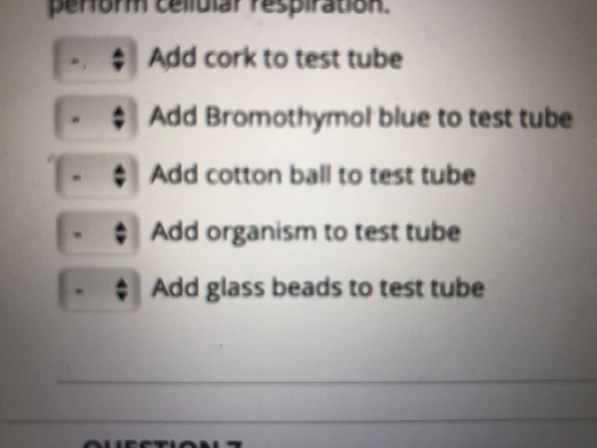 on.
. Add cork to test tube
Add Bromothymol blue to test tube
Add cotton ball to test tube
Add organism to test tube
Add glass beads to test tube
OHES TION 7
