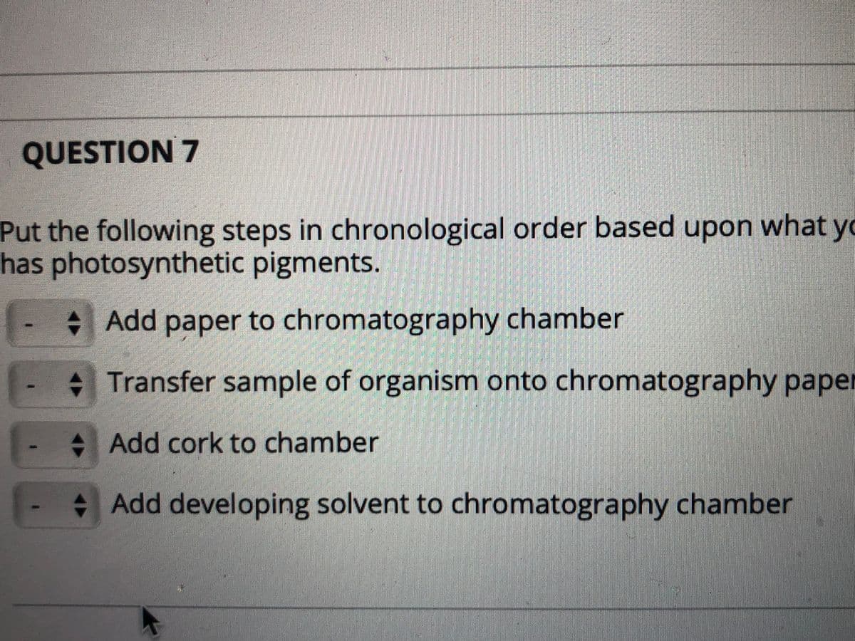 QUESTION 7
Put the following steps in chronological order based upon what yo
has photosynthetic pigments.
Add paper to chromatography chamber
Transfer sample of organism onto chromatography paper
+ Add cork to chamber
Add developing solvent to chromatography chamber
