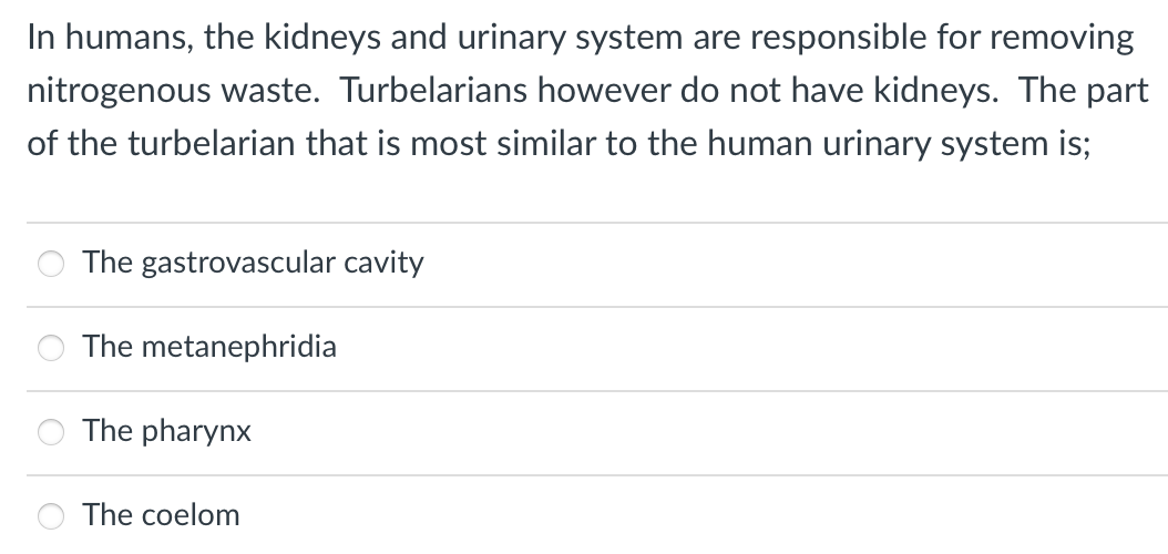 In humans, the kidneys and urinary system are responsible for removing
nitrogenous waste. Turbelarians however do not have kidneys. The part
of the turbelarian that is most similar to the human urinary system is;
The gastrovascular cavity
The metanephridia
O The pharynx
The coelom
