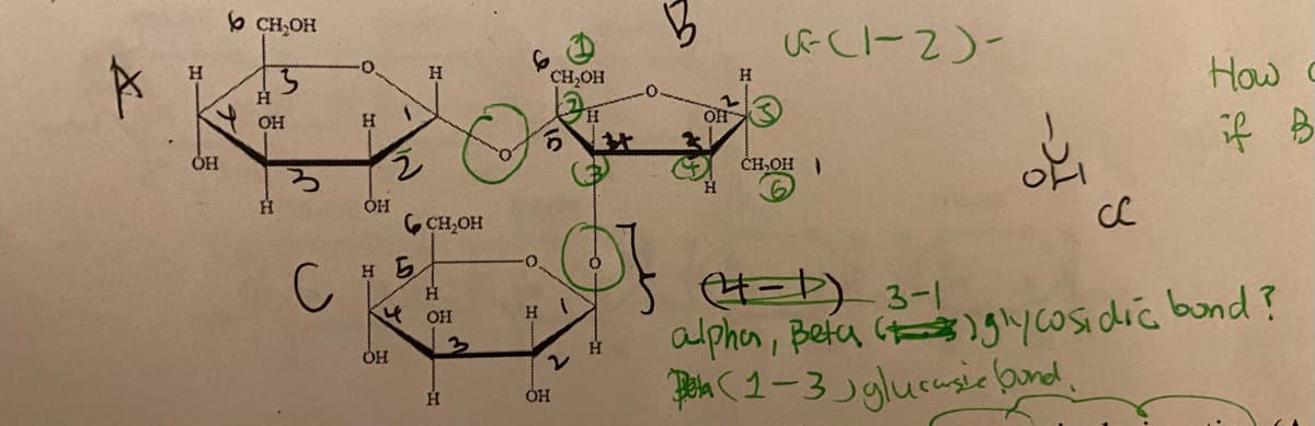 X
H
ÓH
b CH_OH
OH
H
U
с
0.
H
OH
1
2
OH
нь
4
H
CH₂OH
H
он
H
CH₂OH
Di
2
OH
H
B
0
OH
H
((1-2)-
CH₂OHI
35
сс
How c
if B
(4-1) 3-1
alpha, Beta (glycosidic bond?
Pela (1-3 glucursie und.