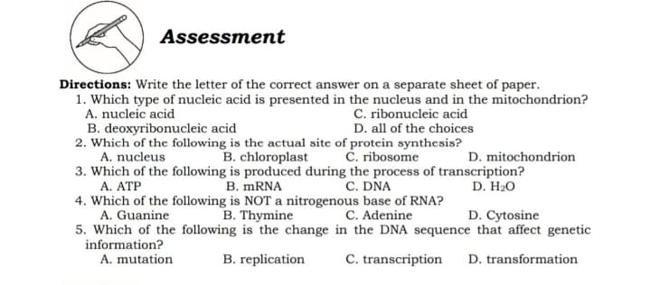 Assessment
Directions: Write the letter of the correct answer on a separate sheet of paper.
1. Which type of nucleic acid is presented in the nucleus and in the mitochondrion?
A. nucleic acid
B. deoxyribonucleic acid
2. Which of the following is the actual site of protein synthesis?
A. nucleus
3. Which of the following is produced during the process of transcription?
C. ribonucleic acid
D. all of the choices
B. chloroplast
C. ribosome
D. mitochondrion
A. ATP
B. MRNA
C. DNA
D. H2O
4. Which of the following is NOT a nitrogenous base of RNA?
A. Guanine
5. Which of the following is the change in the DNA sequence that affect genetic
information?
B. Thymine
C. Adenine
D. Cytosine
A. mutation
B. replication
C. transcription
D. transformation
