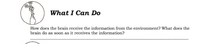 What I Can Do
How does the brain receive the information from the environment? What does the
brain do as soon as it receives the information?
