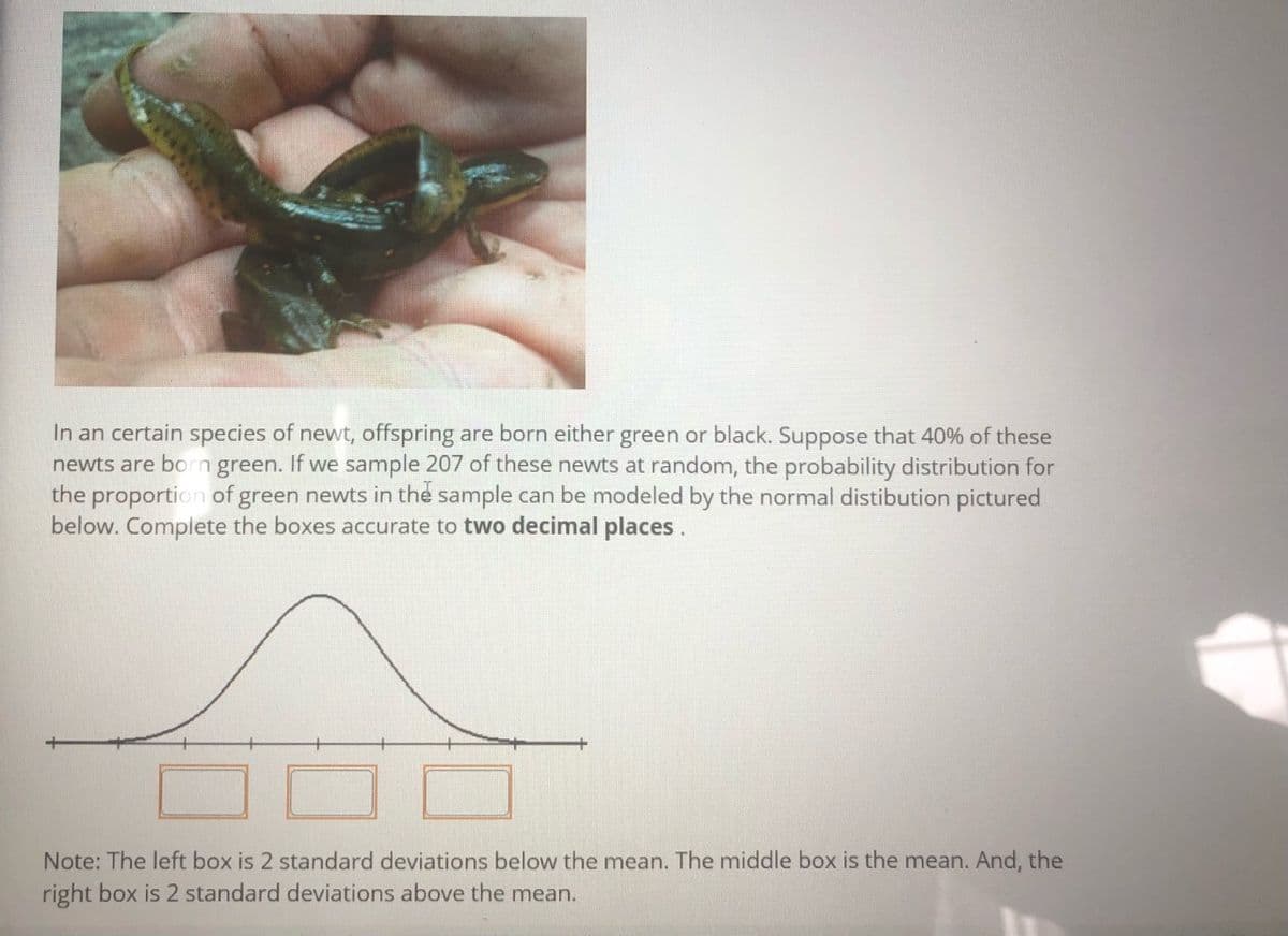 In an certain species of newt, offspring are born either green or black. Suppose that 40% of these
newts are born green. If we sample 207 of these newts at random, the probability distribution for
the proportion of green newts in the sample can be modeled by the normal distibution pictured
below. Complete the boxes accurate to two decimal places.
Note: The left box is 2 standard deviations below the mean. The middle box is the mean. And, the
right box is 2 standard deviations above the mean.
